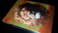 Fotografías del Steelbook El Rey León en Blu-ray 3D