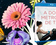 Todos los detalles de de A Dos Metros de Ti en Blu-ray