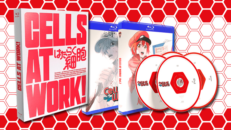 Pack con la serie de anime Cells at Work! en Blu-ray