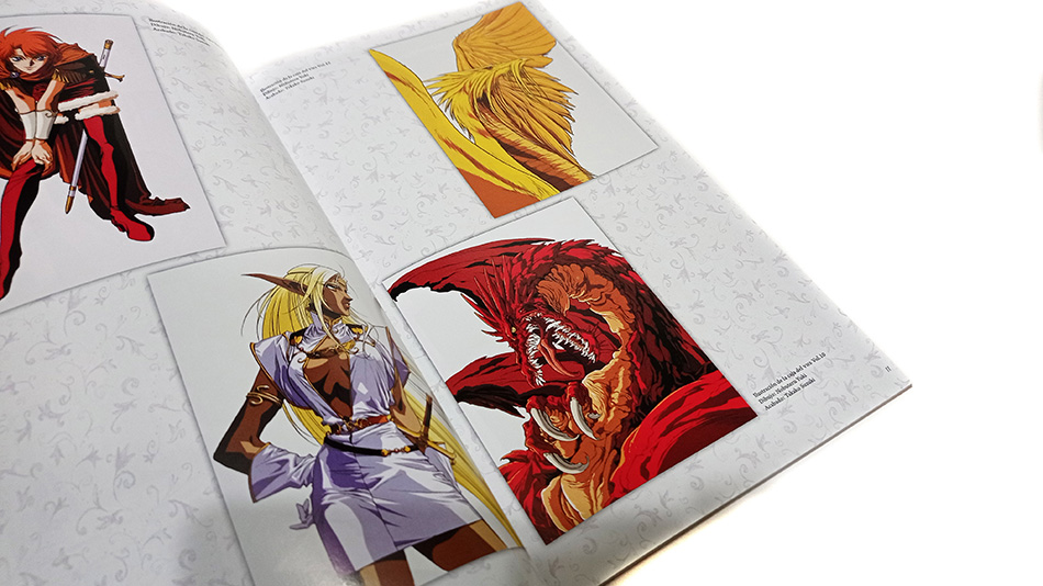 Fotografías de la edición coleccionista de Record of Lodoss War en Blu-ray 29