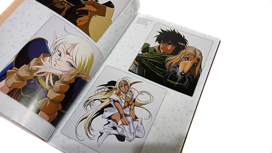 Fotografías de la edición coleccionista de Record of Lodoss War en Blu-ray 30