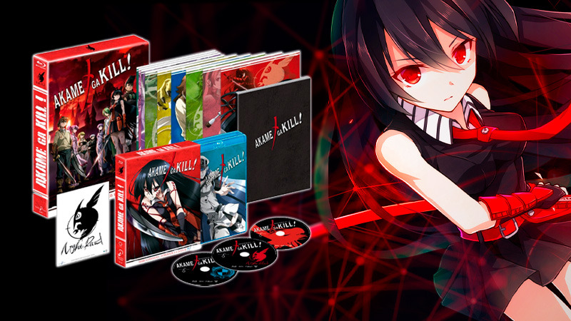 Edición coleccionista tamaño A4 de Akame ga Kill! en Blu-ray