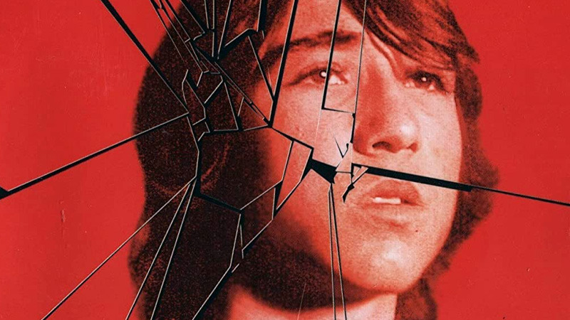 Se anuncia la trilogía de Perros Callejeros por primera vez en Blu-ray