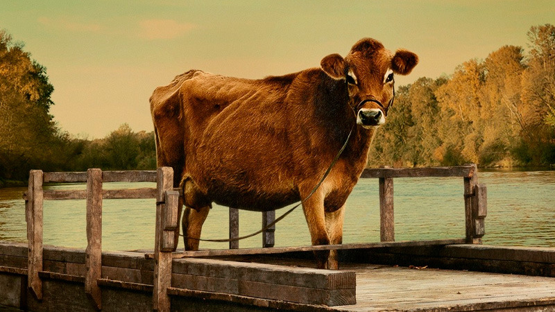 Tráiler en castellano de First Cow