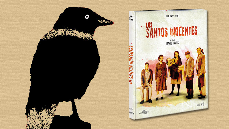 Más detalles de la edición libro de Los Santos Inocentes en Blu-ray