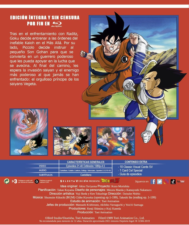 Valoración de Episodios de Dragon Ball Z por Saga