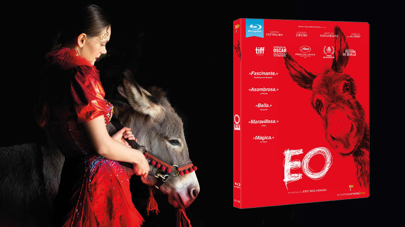 Lanzamiento de EO en Blu-ray, premio del Jurado en Cannes