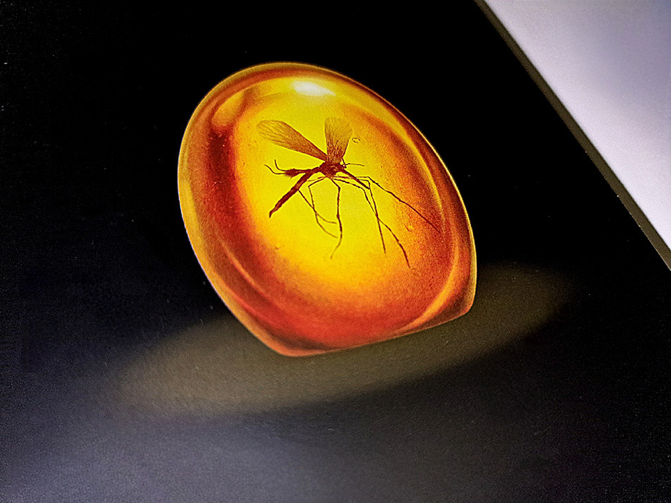 Fotografías del Steelbook 30º Aniversario de Jurassic Park en UHD 4K y Blu-ray 8