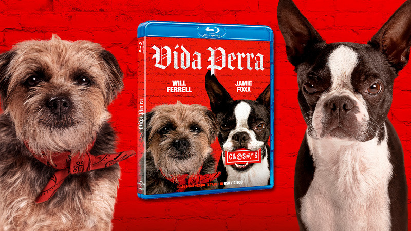 Vida Perra en Blu-ray, una comedia gamberra no apta para niños