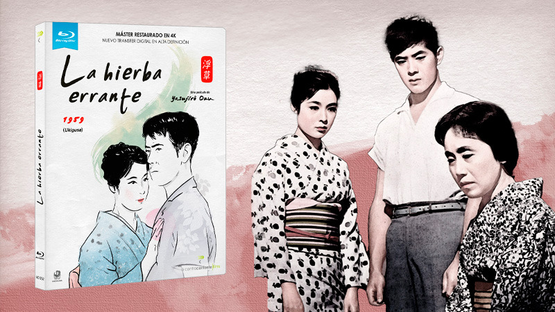 Todos los detalles de La Hierba Errante en Blu-ray, dirigida por Yasujirô Ozu