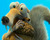 Detalles completos de Ice Age 4 en Blu-ray y Blu-ray 3D