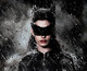 El Caballero Oscuro: La Leyenda Renace con Batman y Catwoman