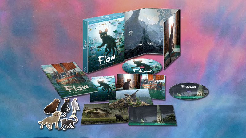 Dos ediciones en Blu-ray para la película de animación Flow