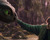 Primeros detalles de Cómo Entrenar a tu Dragón en Blu-ray y UHD 4K