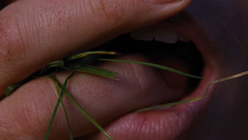 Tráiler oficial de Cumbres Borrascosas, con Margot Robbie y Jacob Elordi