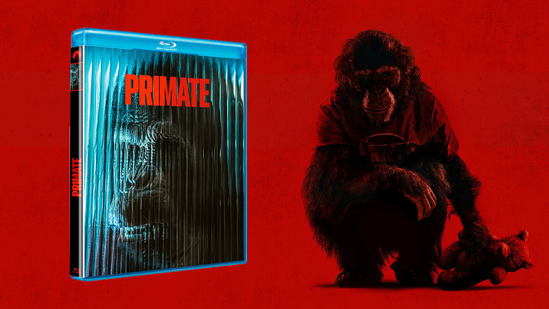 Primate en Blu-ray, un mono con muy mala leche
