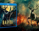 Bambi: La Venganza en Blu-ray, el cervatillo reclama venganza