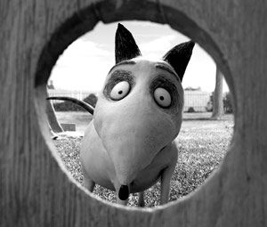 Fecha oficial del Blu-ray de Frankenweenie en España