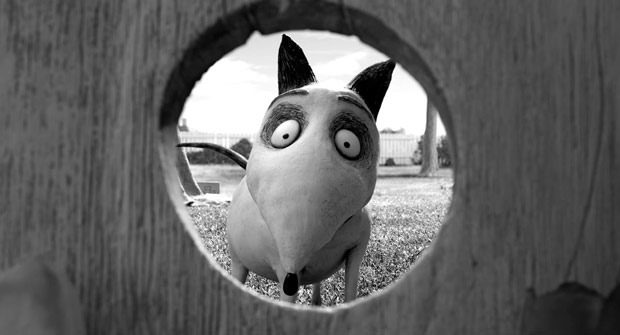 Fecha oficial del Blu-ray de Frankenweenie en España