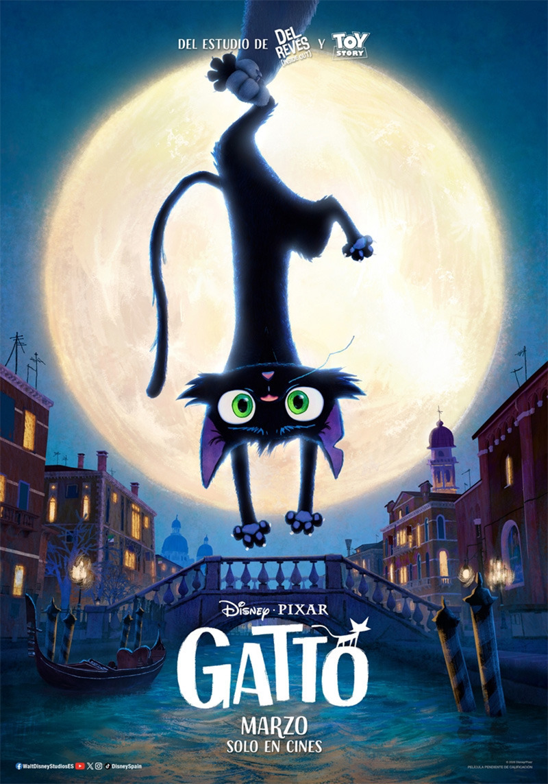 Póster de la película Gatto