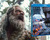 Lanzamiento de La Muerte de Robin Hood -con Hugh Jackman- en Blu-ray