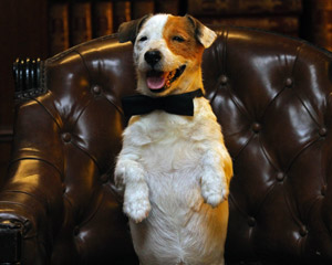 Finaliza el rodaje de la película Pancho con el perro de la Primitiva