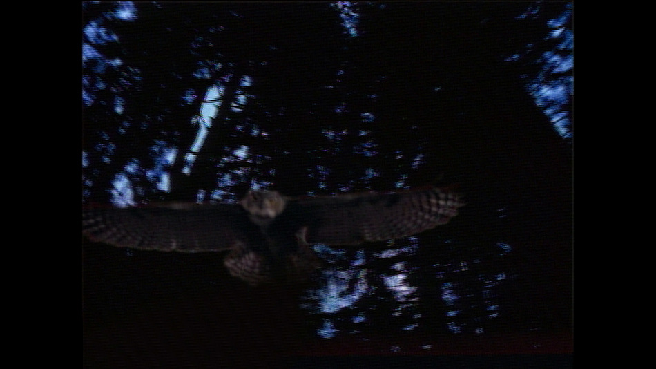 Blu-ray (2007)