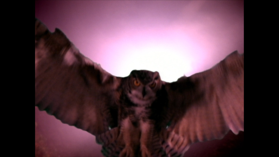Blu-ray (2007)