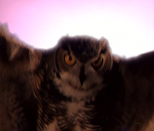 Retoques digitales y mejoras de imagen en el Blu-ray de Twin Peaks