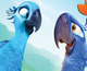 Todos los detalles de Rio 2 en Blu-ray 3D y 2D