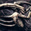 Xeno426