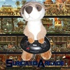 Suricatoarcade-s
