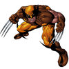 Sparhawk