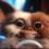 GIZMO