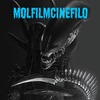 molfilm