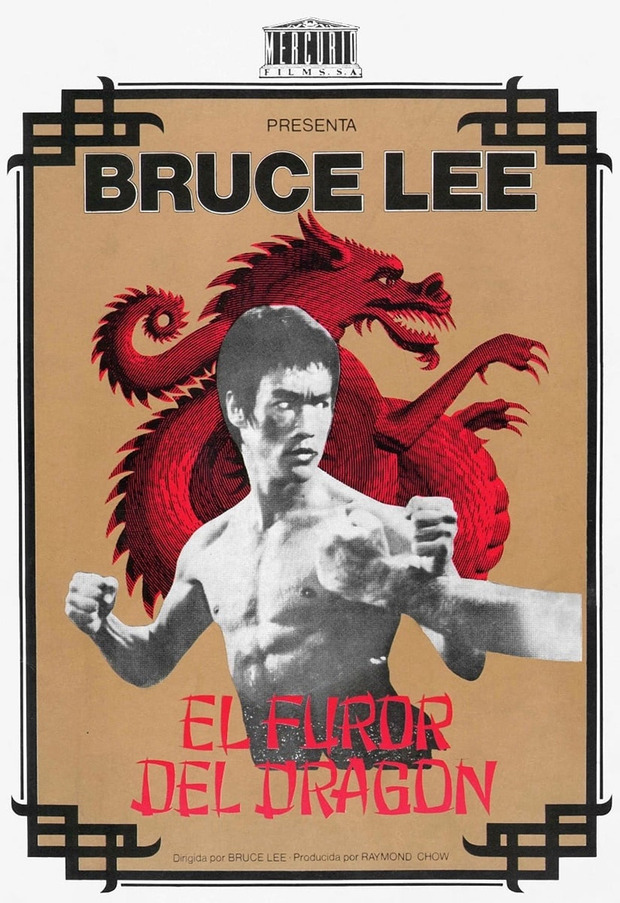 Póster de la película El Furor del Dragón