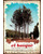 El Bosque