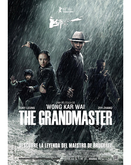 Película The Grandmaster