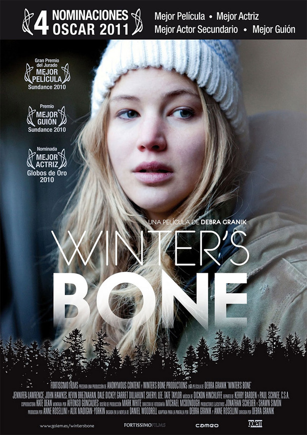 Póster de la película Winter's Bone