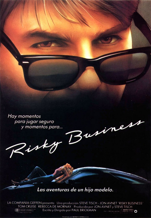 Póster de la película Risky Business