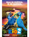 Póster de la película Rio 2 2