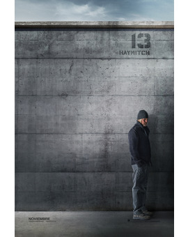 Póster de la película Los Juegos del Hambre: Sinsajo. Parte 1 12