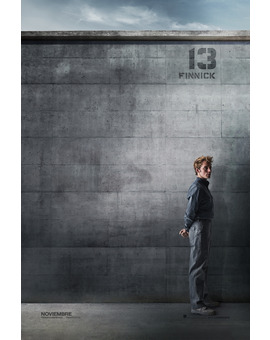 Póster de la película Los Juegos del Hambre: Sinsajo. Parte 1 15