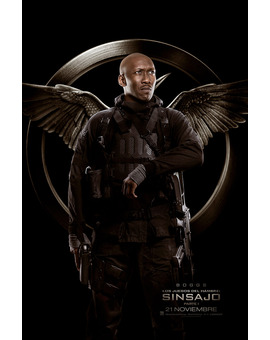 Póster de la película Los Juegos del Hambre: Sinsajo. Parte 1 22