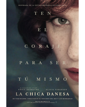 Póster de la película La Chica Danesa 2