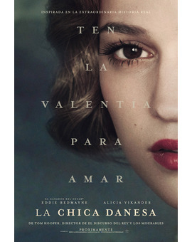 Póster de la película La Chica Danesa 3