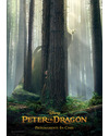 Póster de la película Peter y el Dragón 2