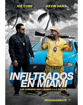 Película Infiltrados en Miami