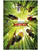 La LEGO Ninjago Película