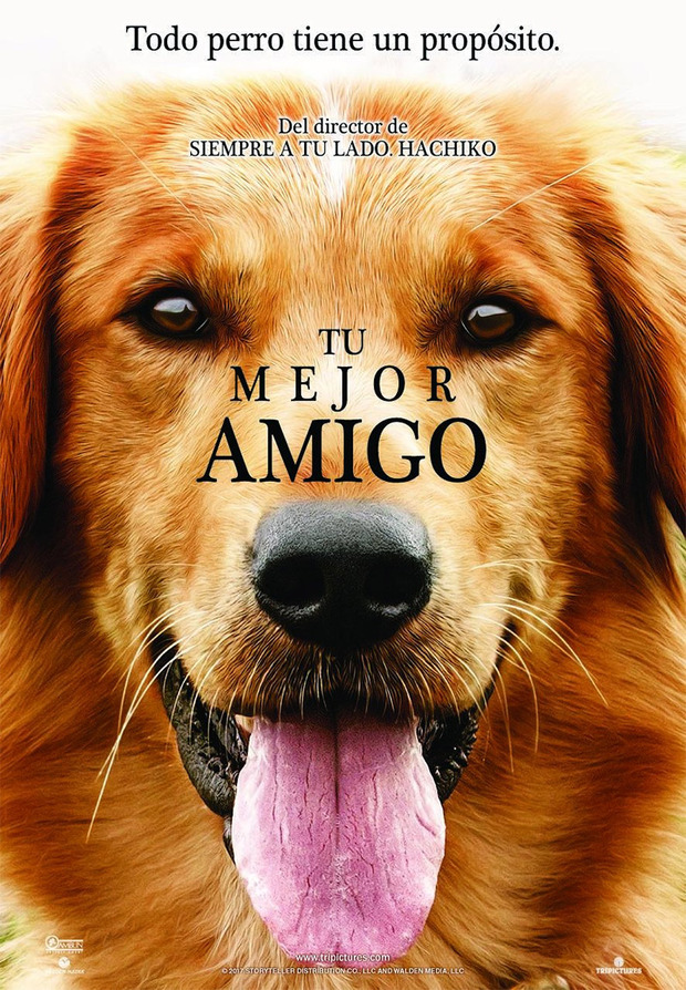 Póster de la película Tu Mejor Amigo